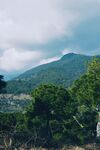 山