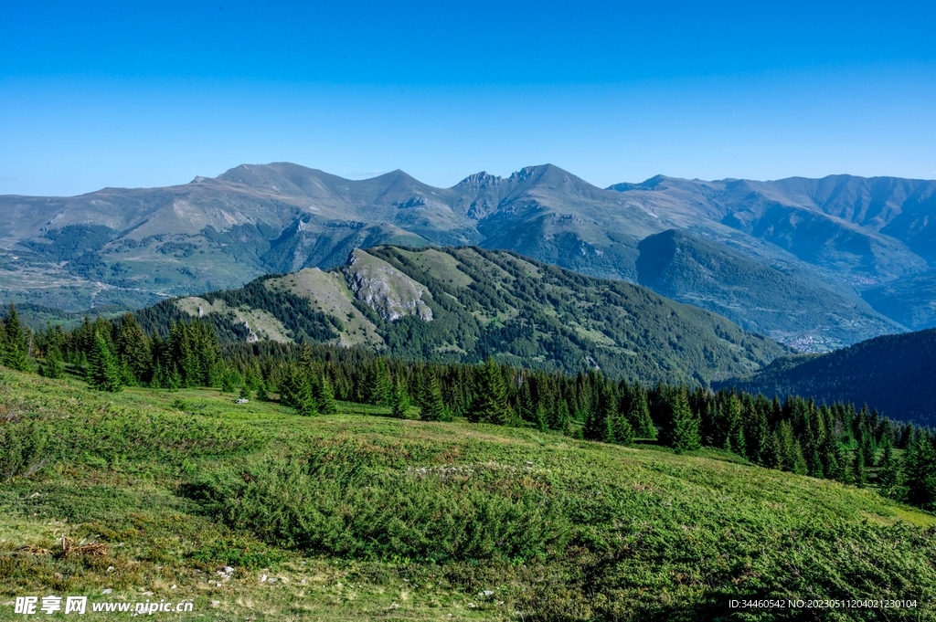 山