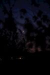黑夜