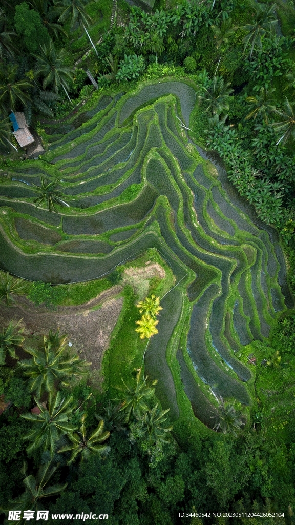 绿道