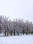 雪