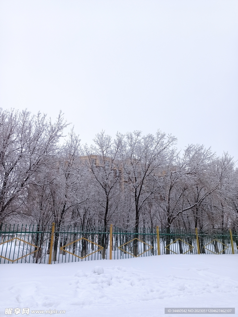 雪