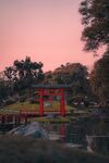 粉色天空