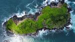 海