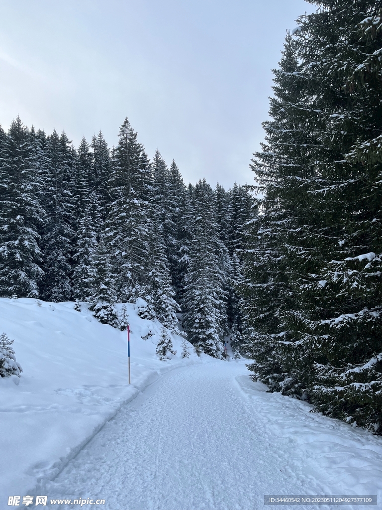雪