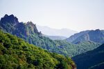 山