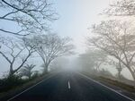 马路