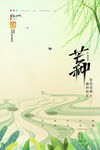 芒种海报设计