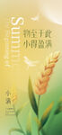 小满
