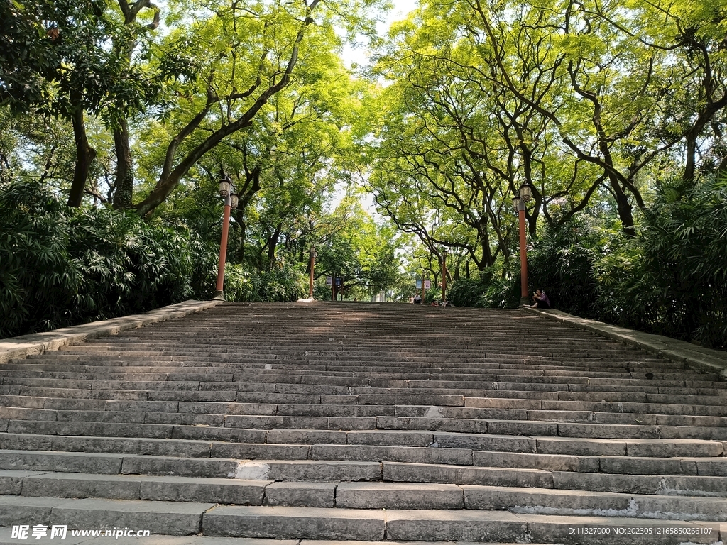 2023石林风景区-旅游攻略-门票-地址-问答-游记点评，石林旅游旅游景点推荐-去哪儿攻略