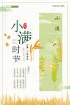 传统二十四节气小满