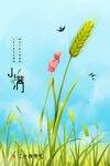 传统节气小满海报
