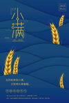 小满节气海报