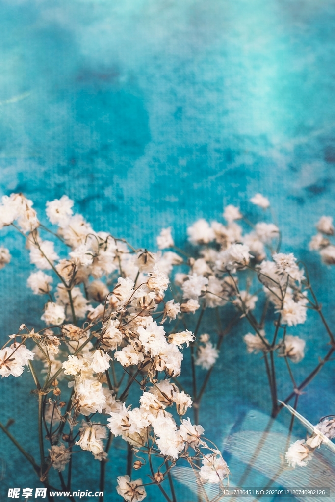 李花