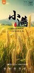 小满  