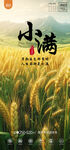 小满  