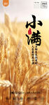 小满  