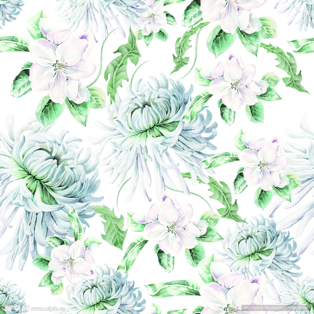 菊花