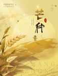 芒种海报