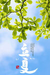 立夏海报