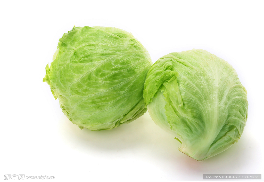 生菜