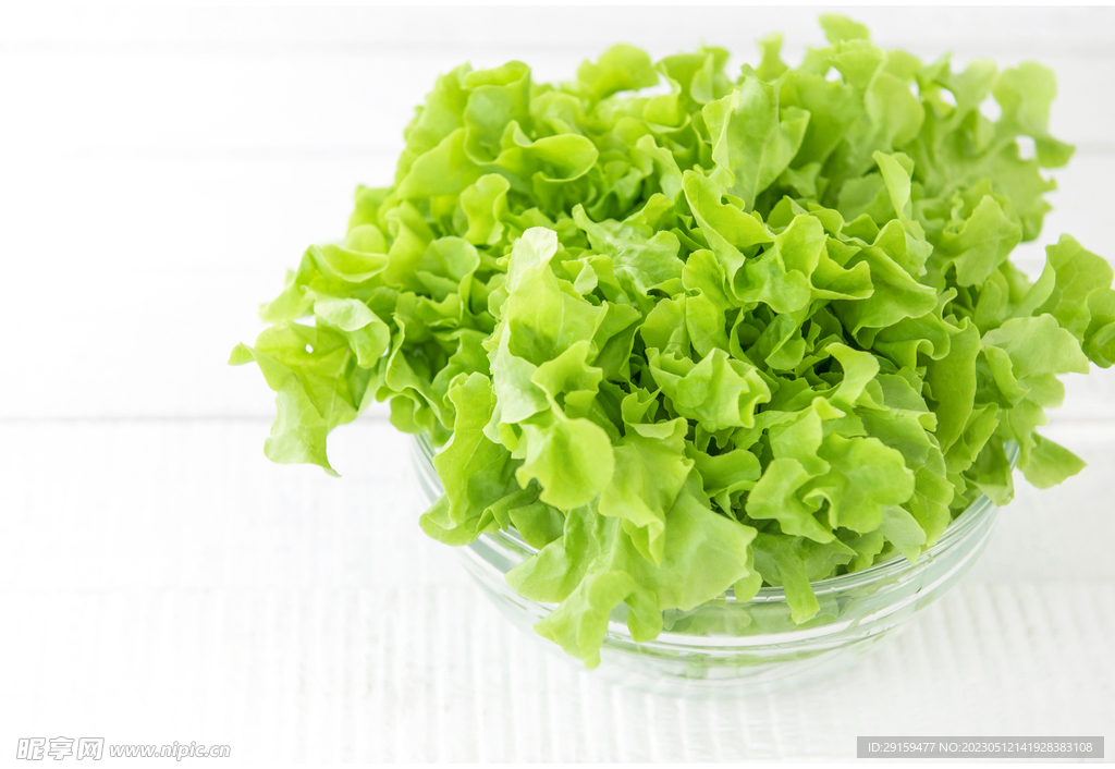 生菜