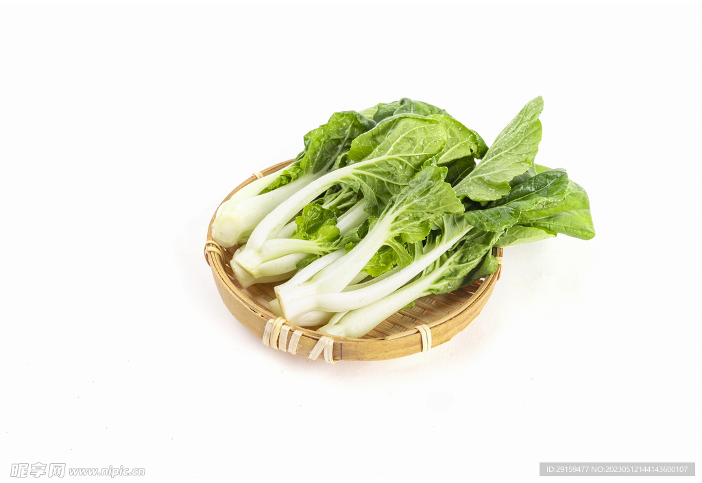 洋白菜