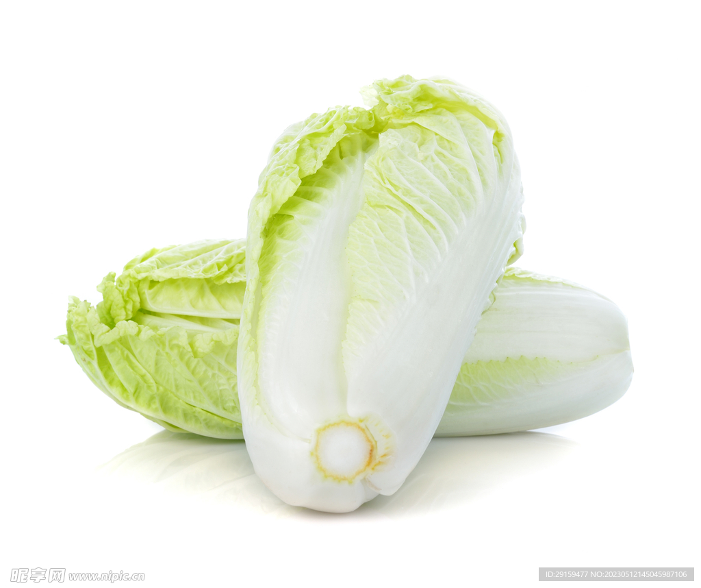 大白菜
