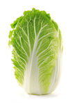 大白菜