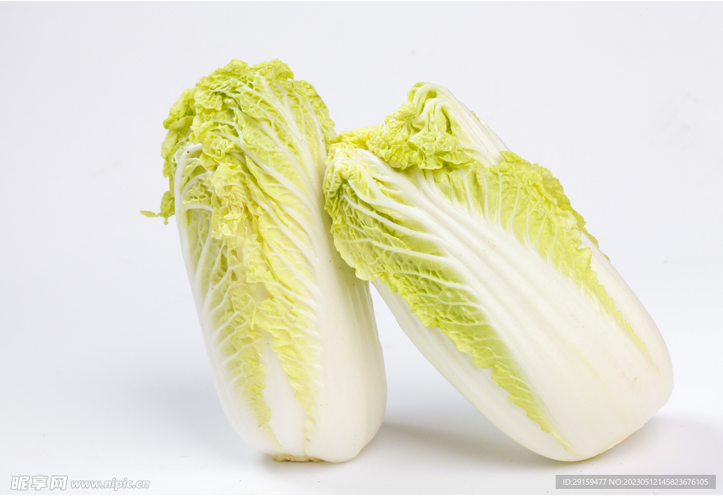 大白菜 