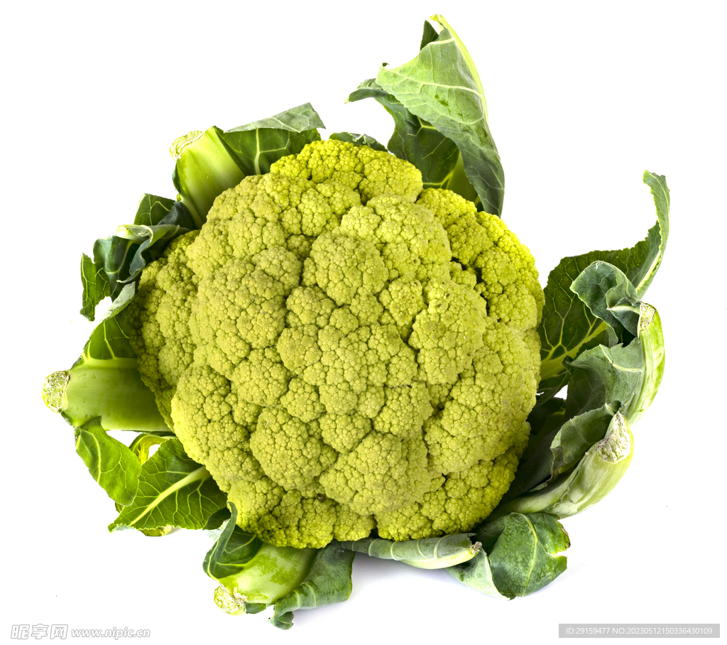 花椰菜