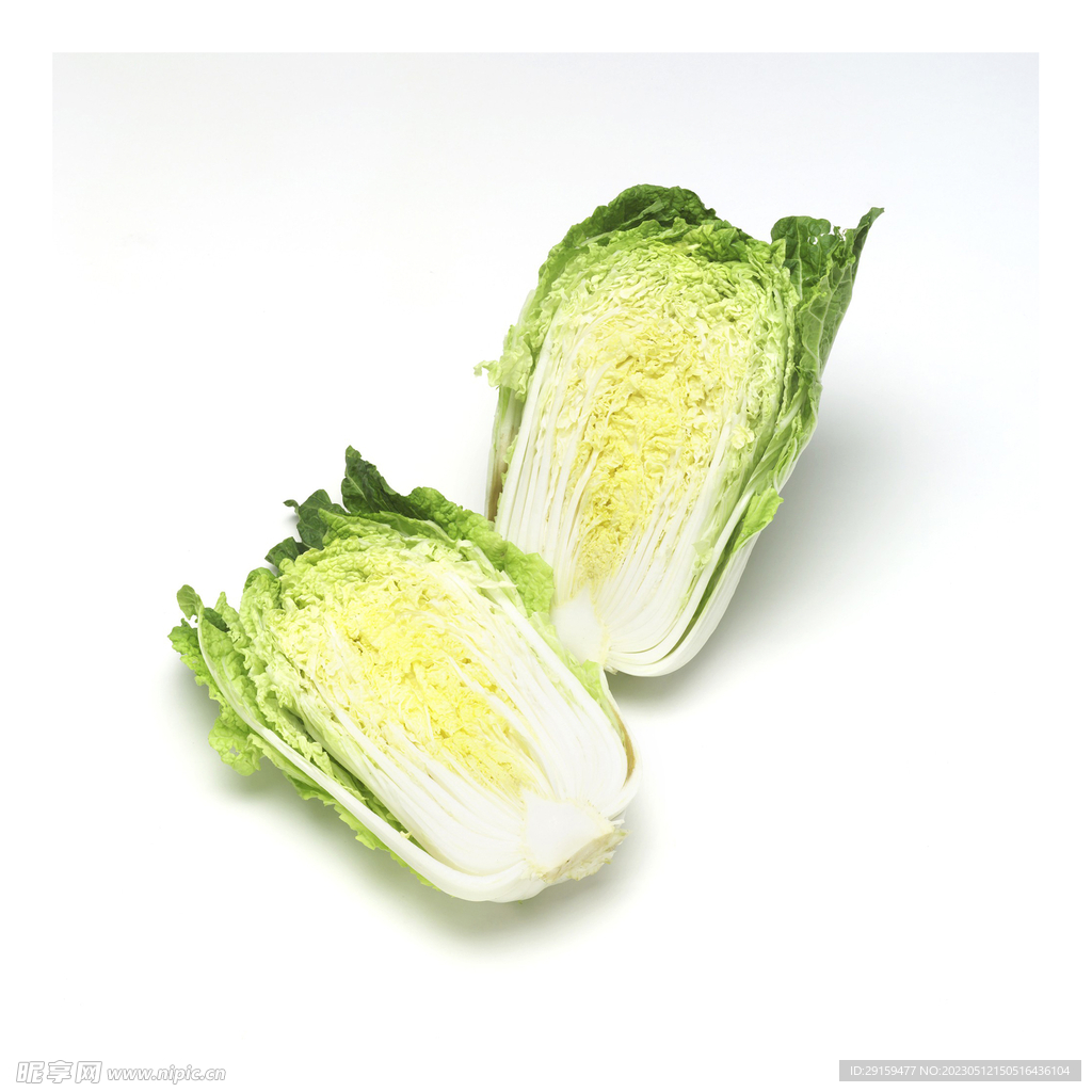 黄心白