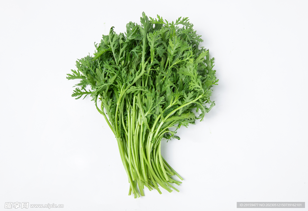 皇帝菜