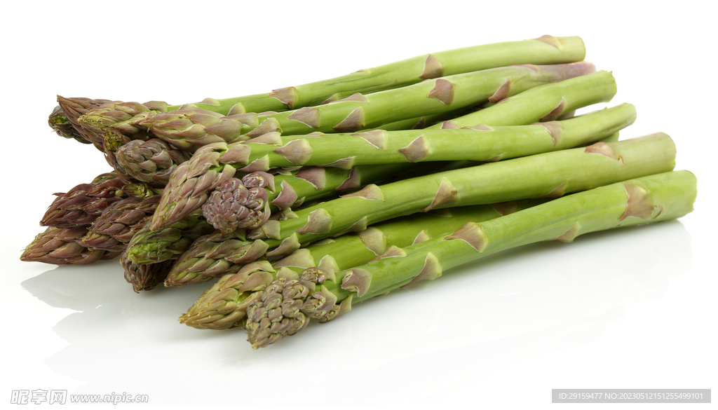 芦笋 