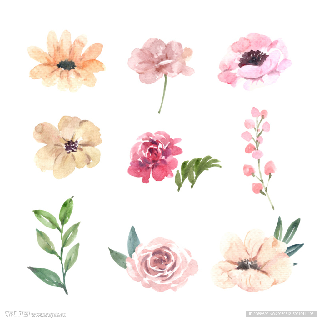 水彩花卉