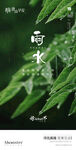 雨水海报