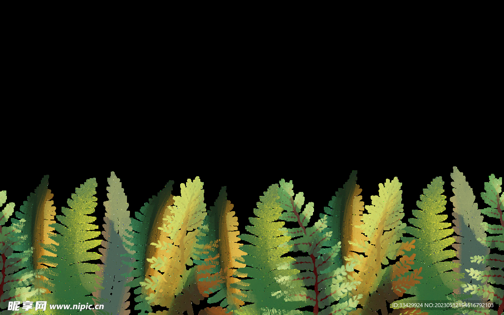蕨类植物插画素材