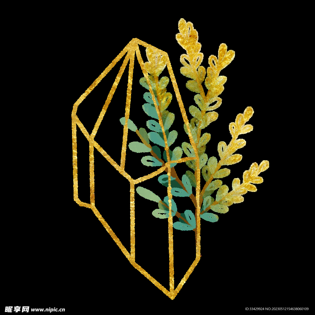 蕨类植物插画素材
