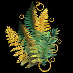 蕨类植物插画素材