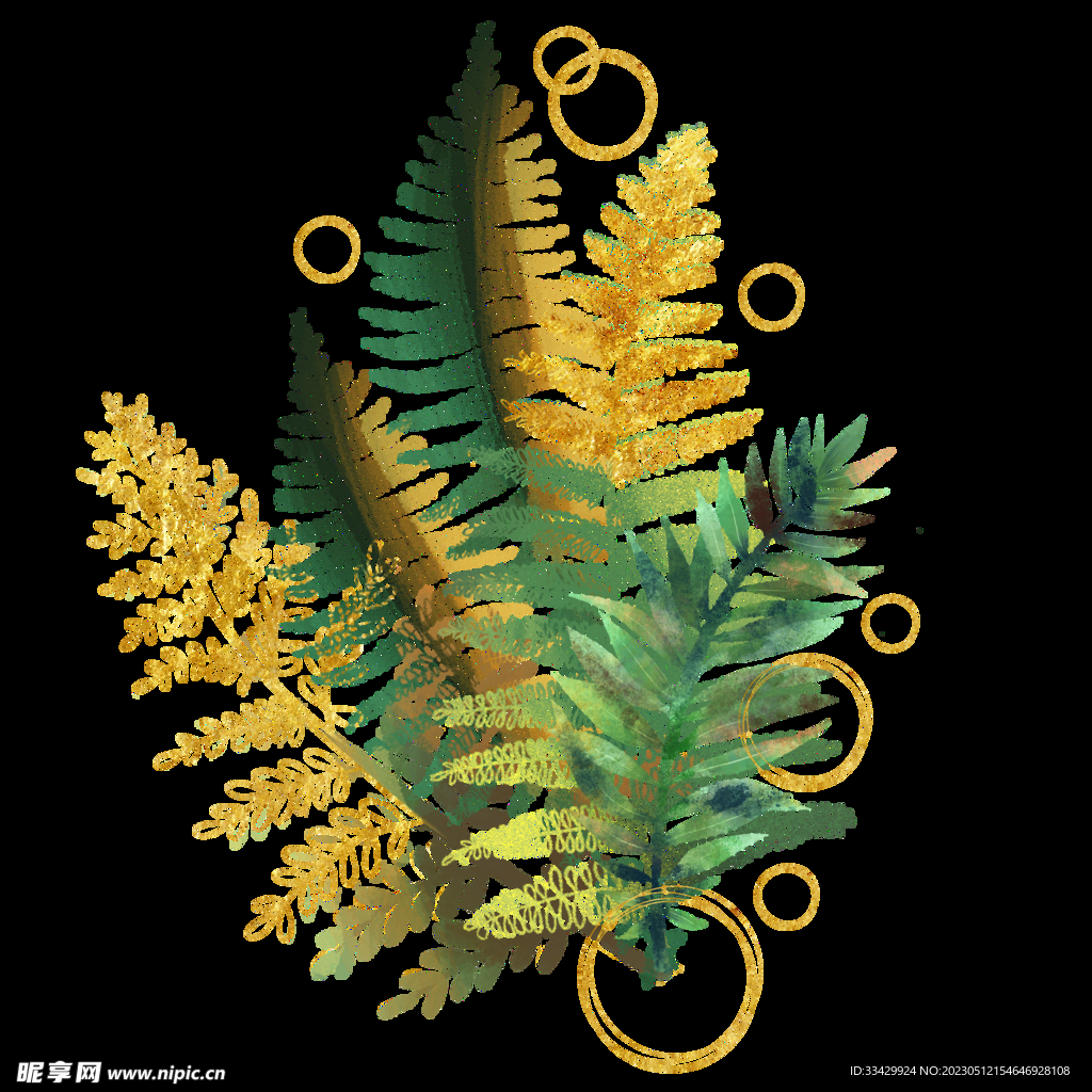 蕨类植物插画素材