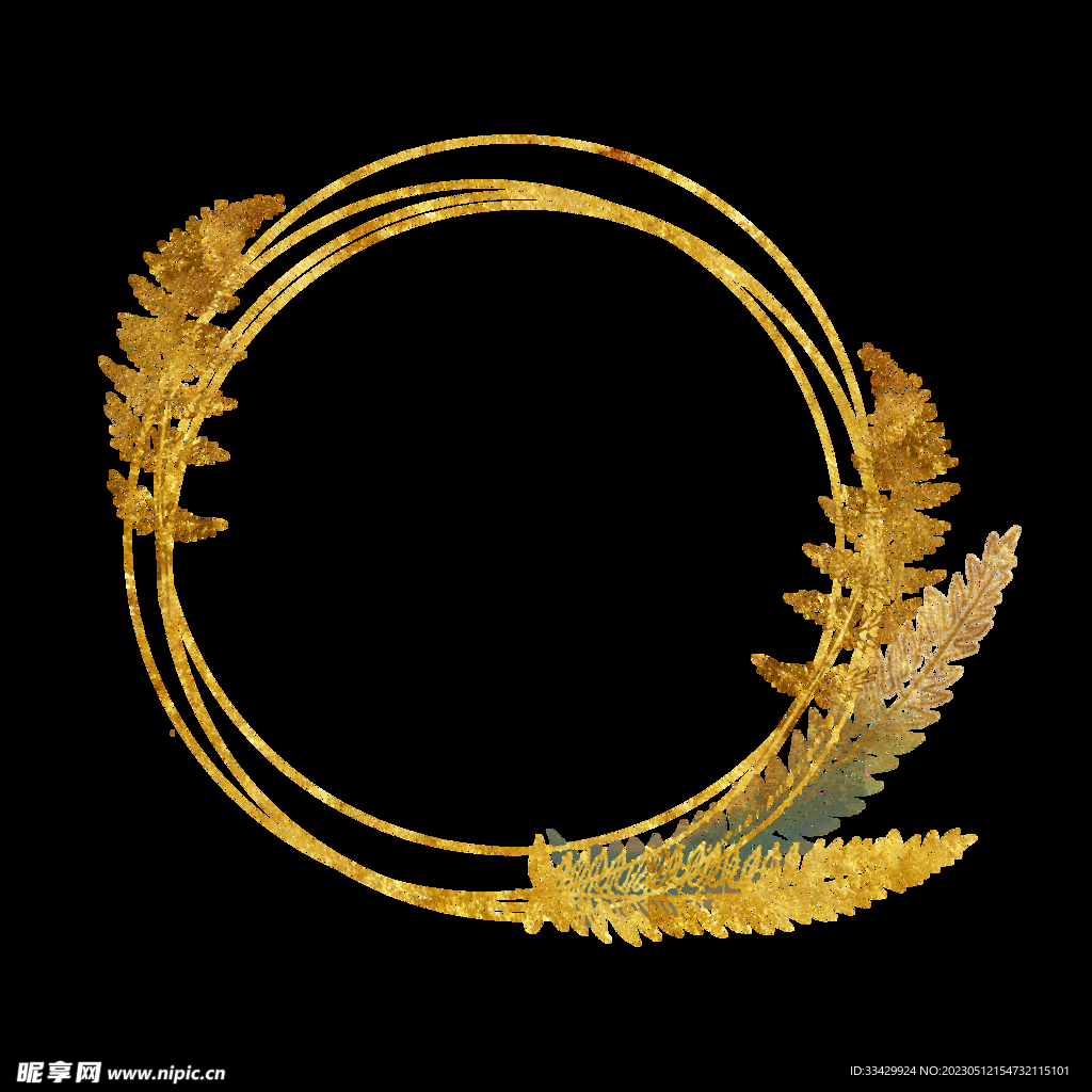 蕨类植物插画素材