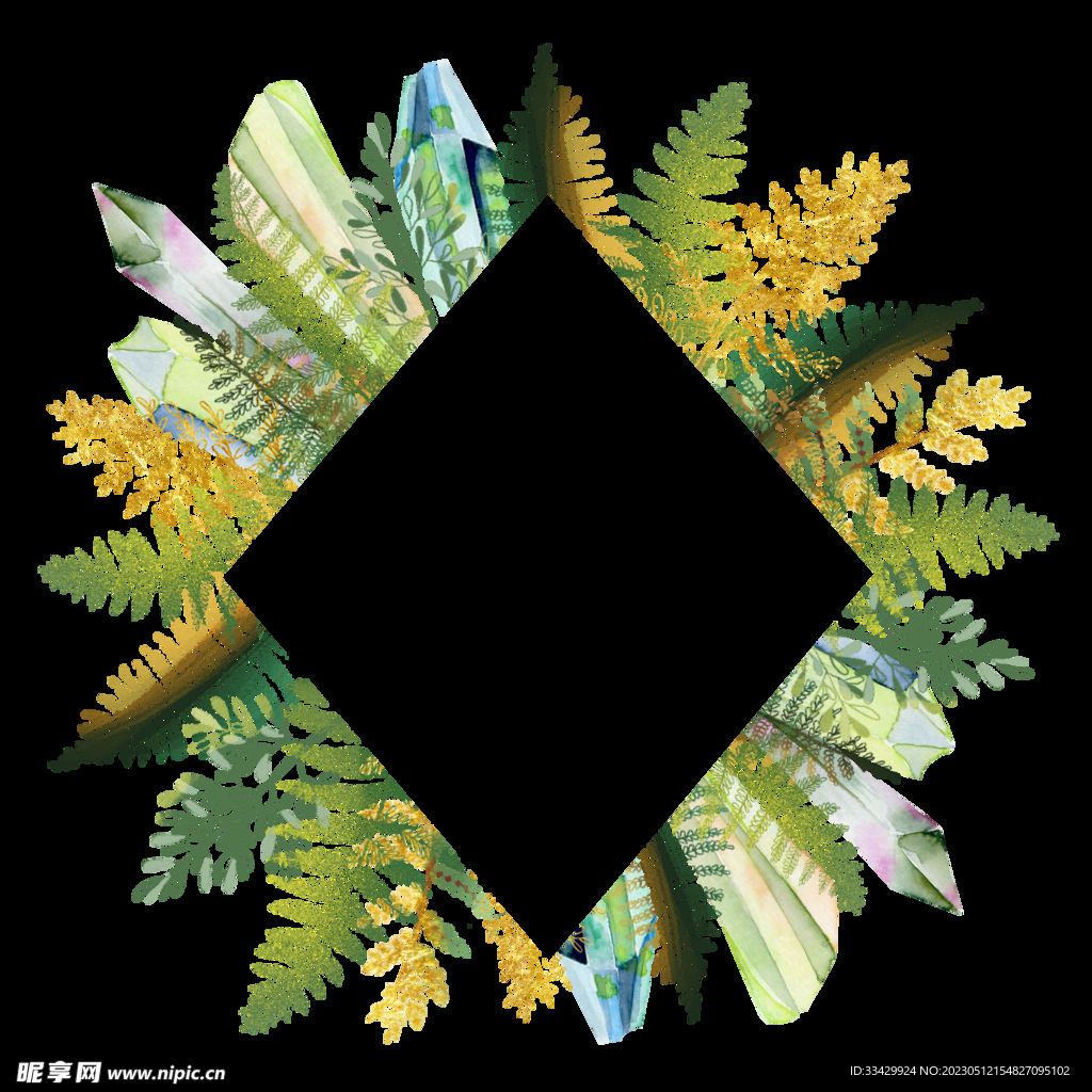 蕨类植物插画素材