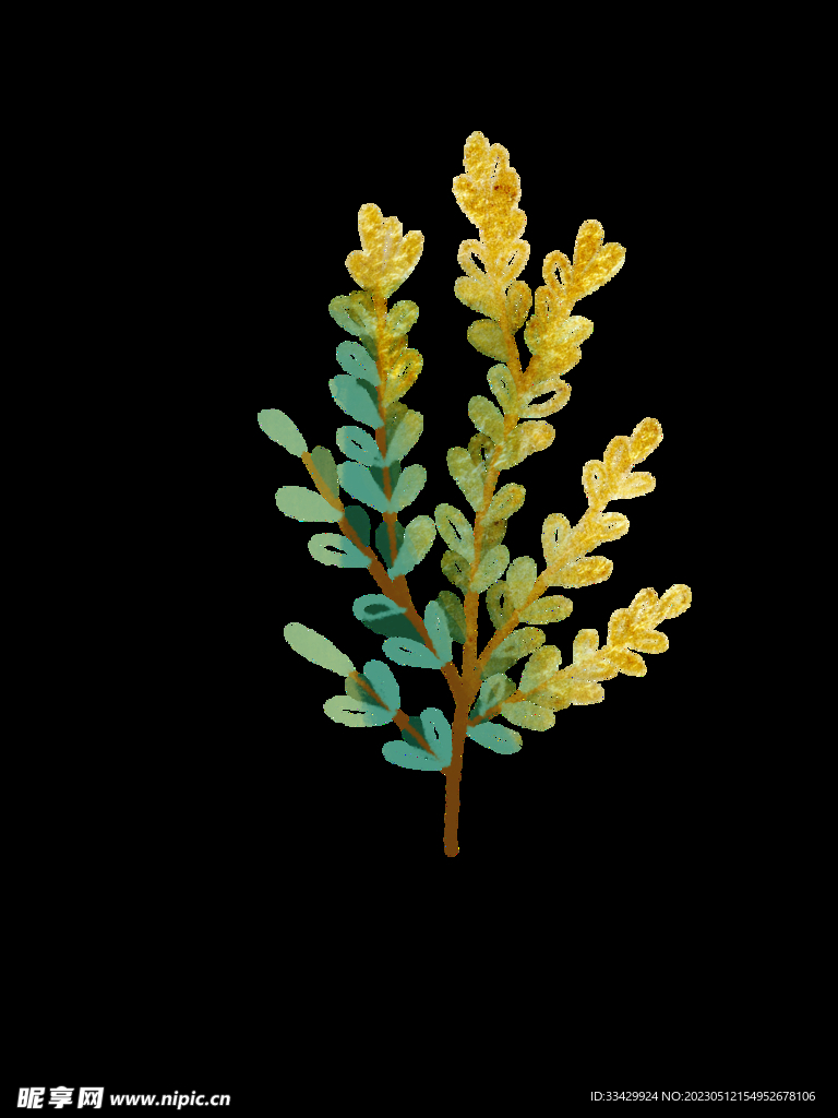 蕨类植物插画素材