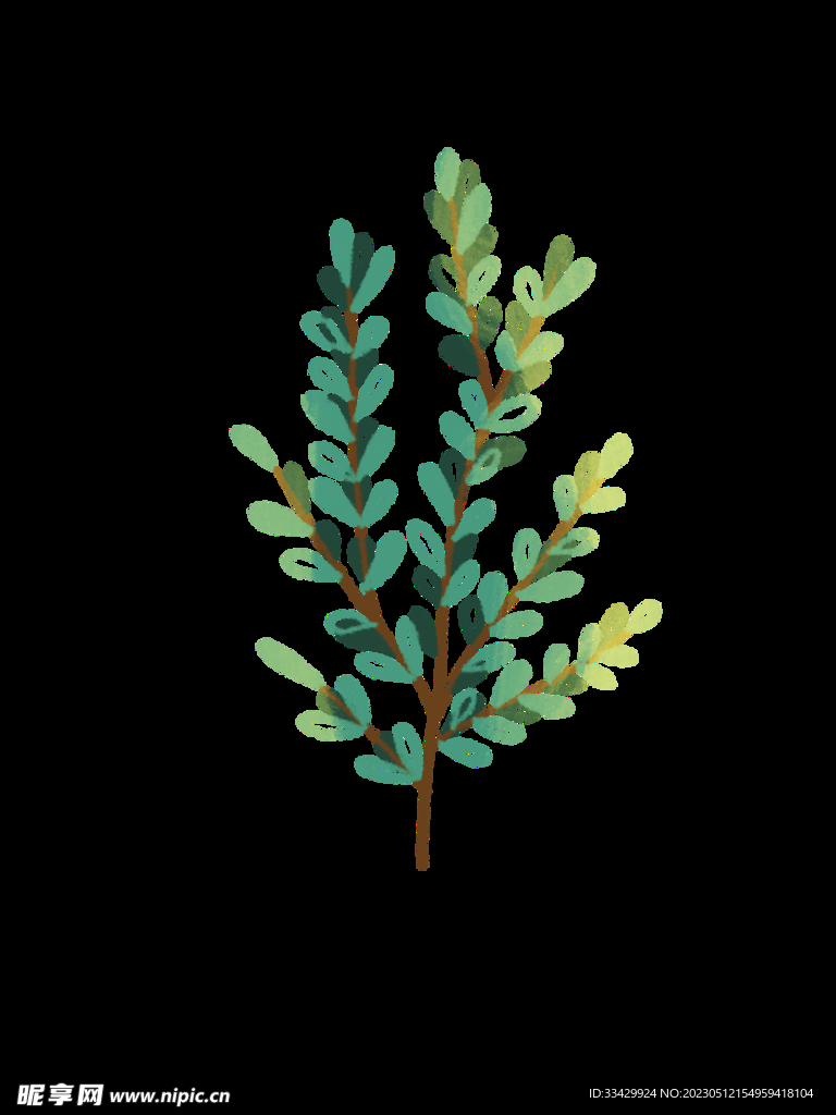 蕨类植物插画素材