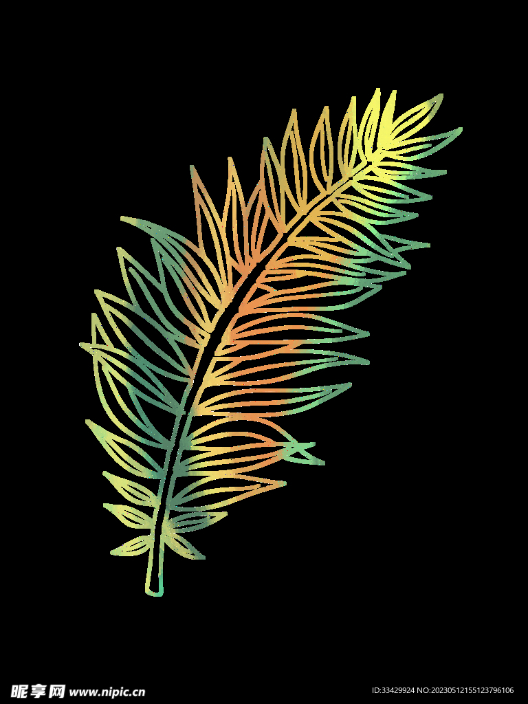 蕨类植物插画素材