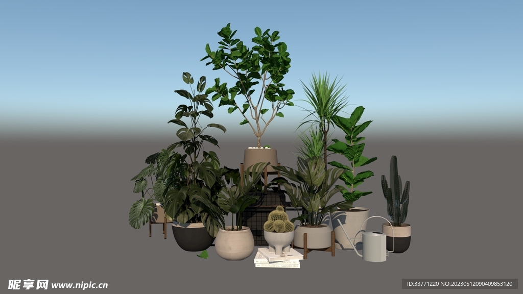 盆栽植物模型