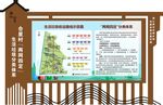 造型