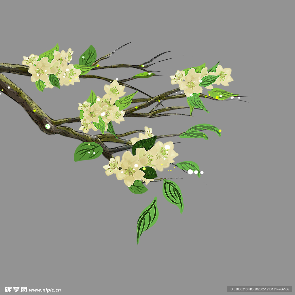 梨花
