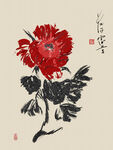 牡丹