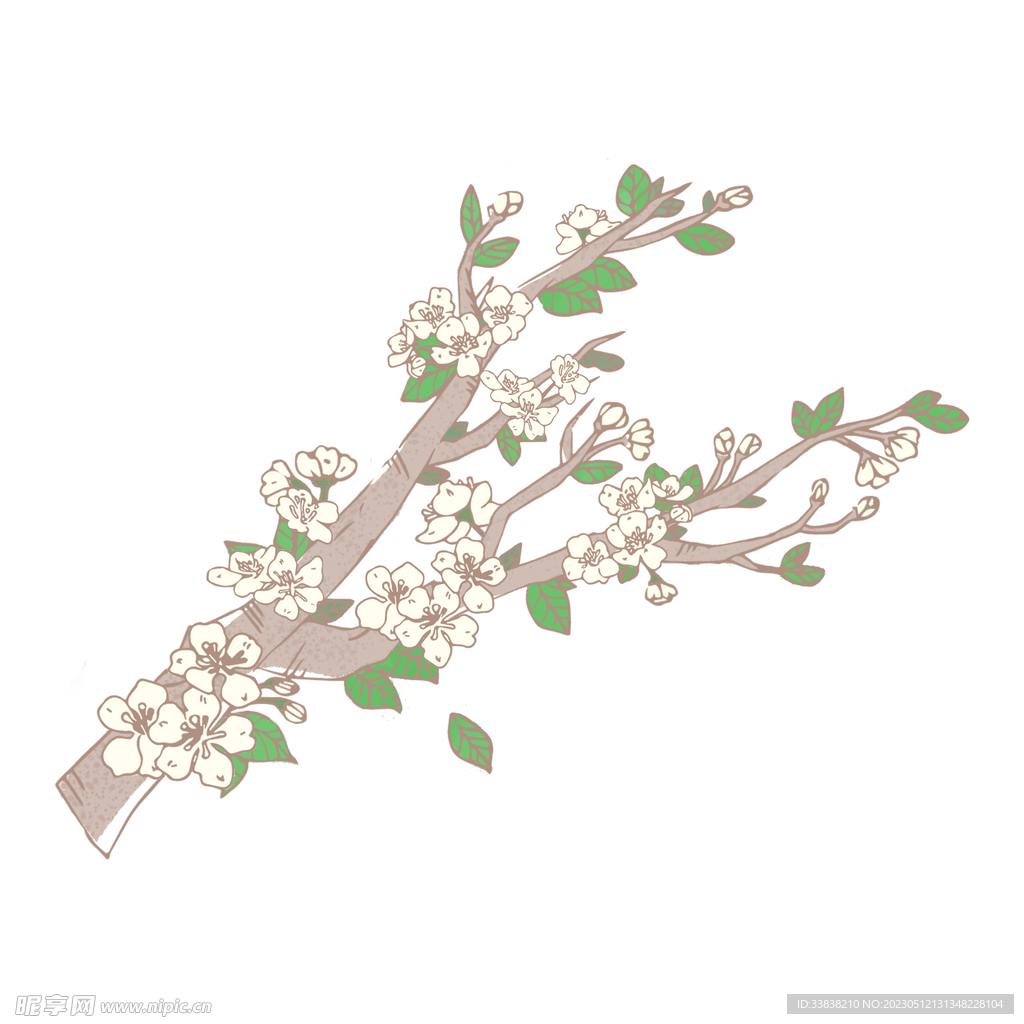 梨花